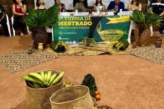 Mestrado - Enfermeiros Indígenas