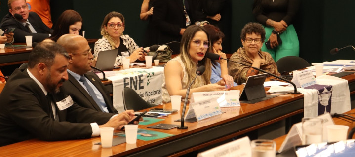 Pessoas sentadas e uma falando na mesa do plenário