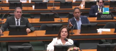 Votação na CCJC tem caráter terminativo